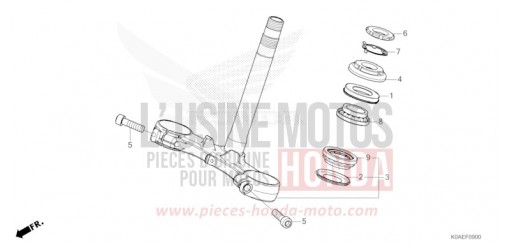 PIANTONE STERZO CBF300NAN di 2022